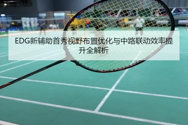 EDG新辅助首秀视野布置优化与中路联动效率提升全解析