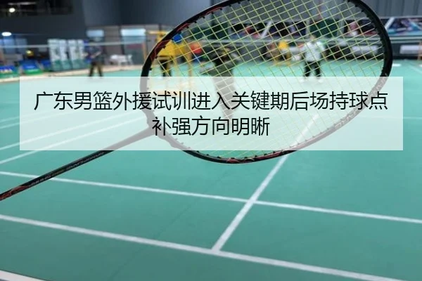 广东男篮外援试训进入关键期后场持球点补强方向明晰